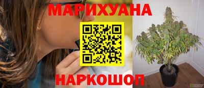 бошки Можайск