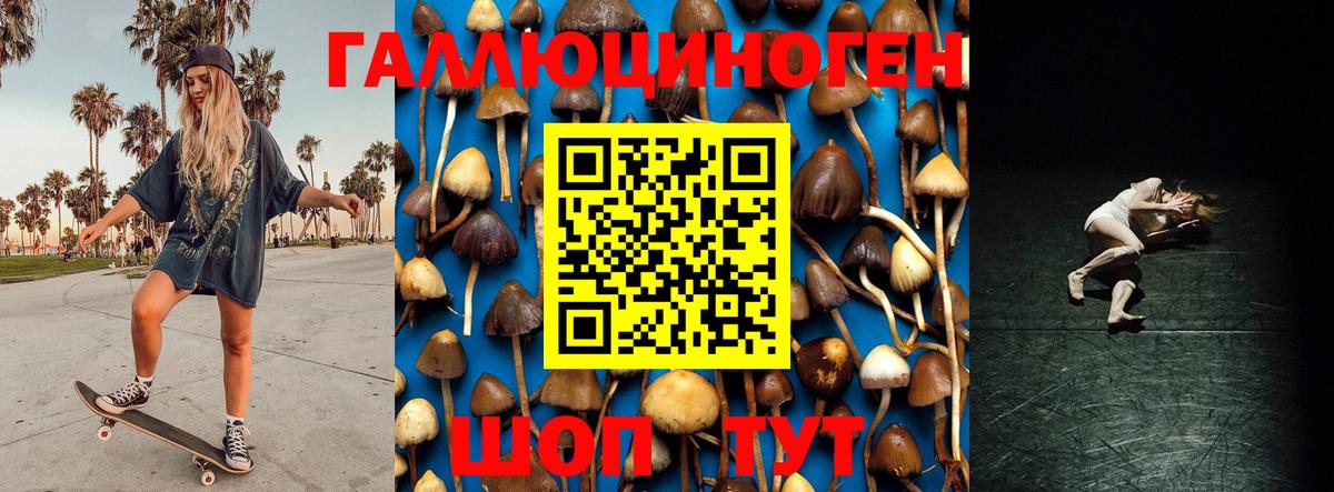 Галлюциногенные грибы Psilocybine cubensis  наркотики  Вход с VPN  Волгоград  Галлюциногенные грибы прущие грибы 